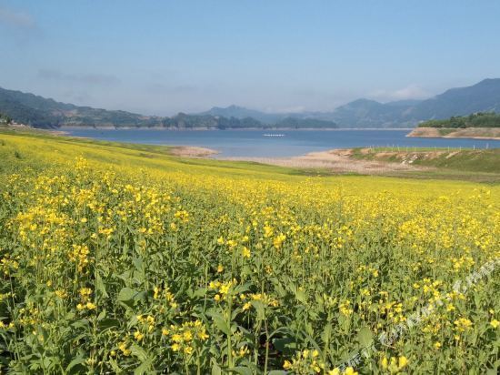 丹東寬甸綠江村住宿