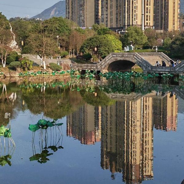 爱莲湖公园图片