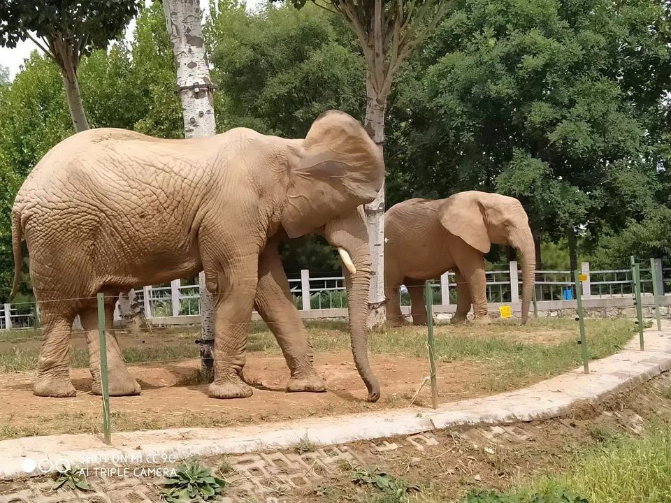 t01167937438d7f6dd4.jpg