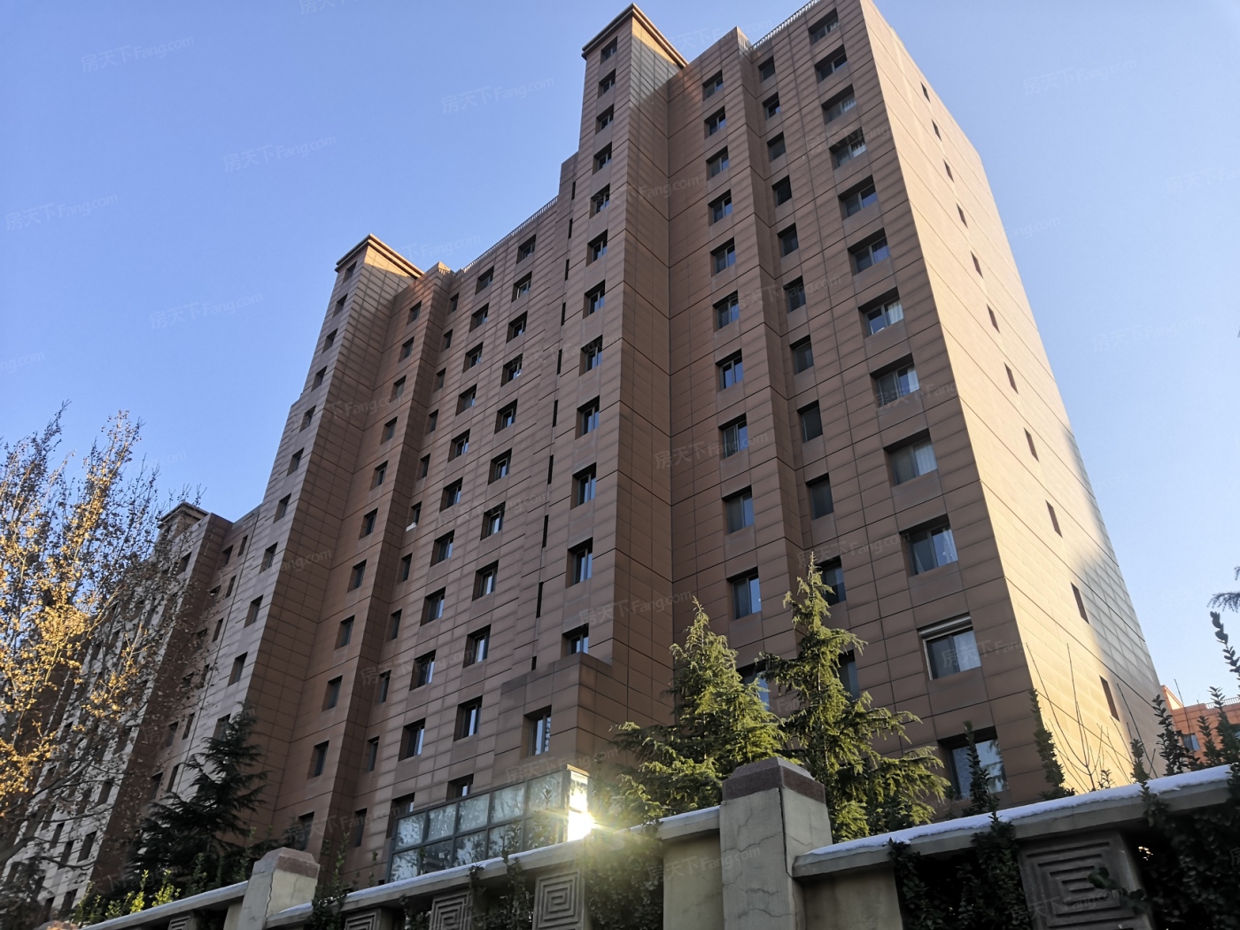 天泰·太阳树图片