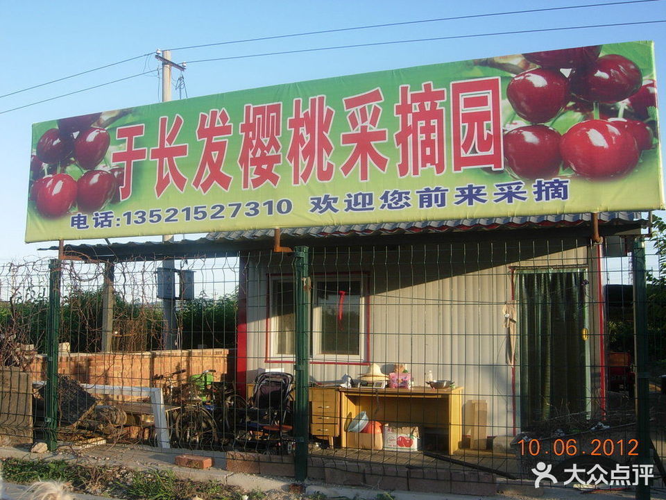 北京樱桃采摘一日游