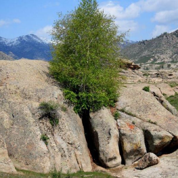 阿勒泰五指泉景区
