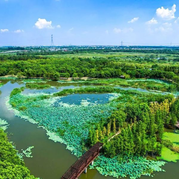 同里湿地公园游玩攻略,