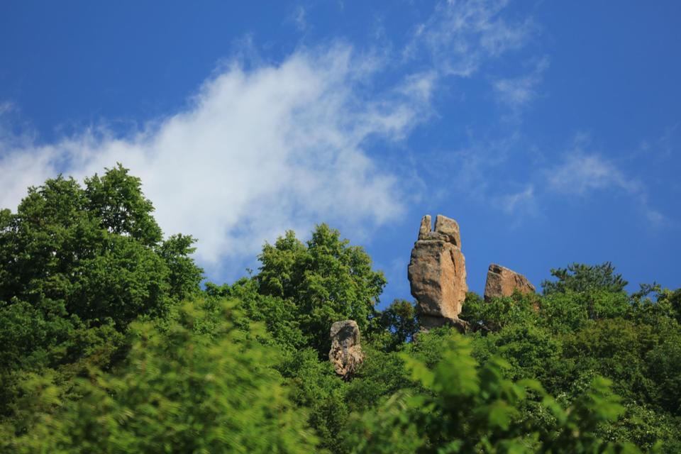 猴石国家森林公园图片