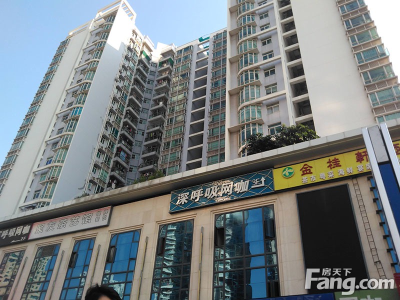 金桃园大厦图片