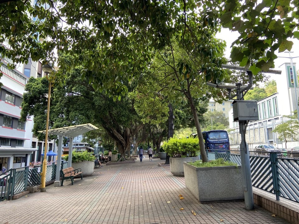 香港青山道属于哪个区