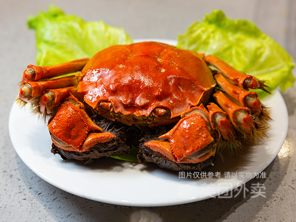 朱记酸菜鸡壳图片