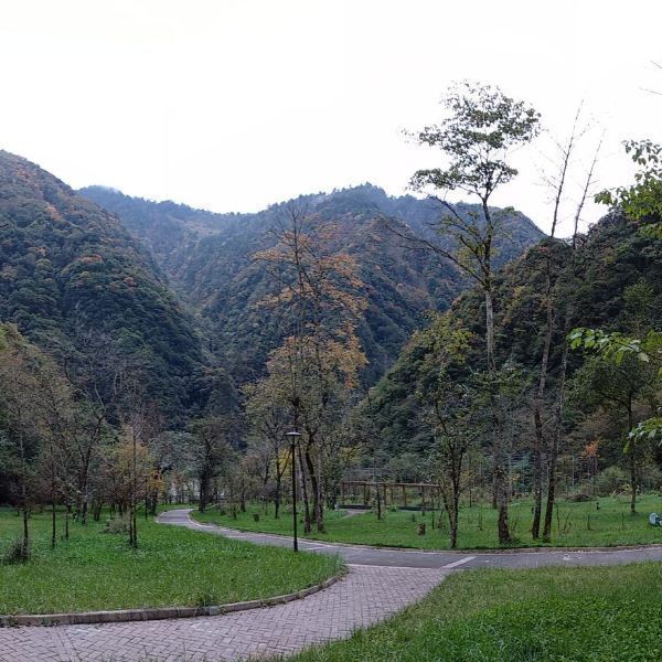 蜂桶寨国家级自然保护区