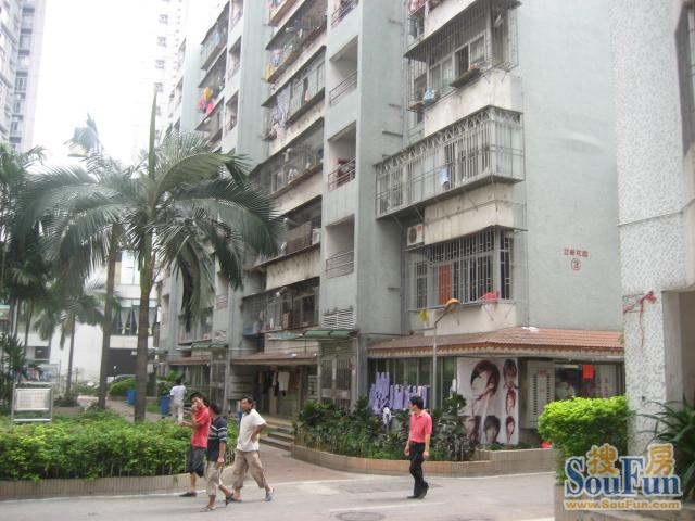 立新花园(人民北路)图片