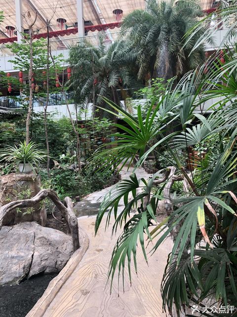 北大荒唐都生态园图片