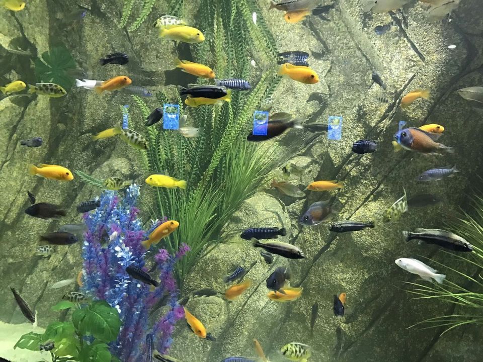 海底世界地址(位置,怎么去,怎么走,在哪,在哪里,在哪儿):达州市大竹县