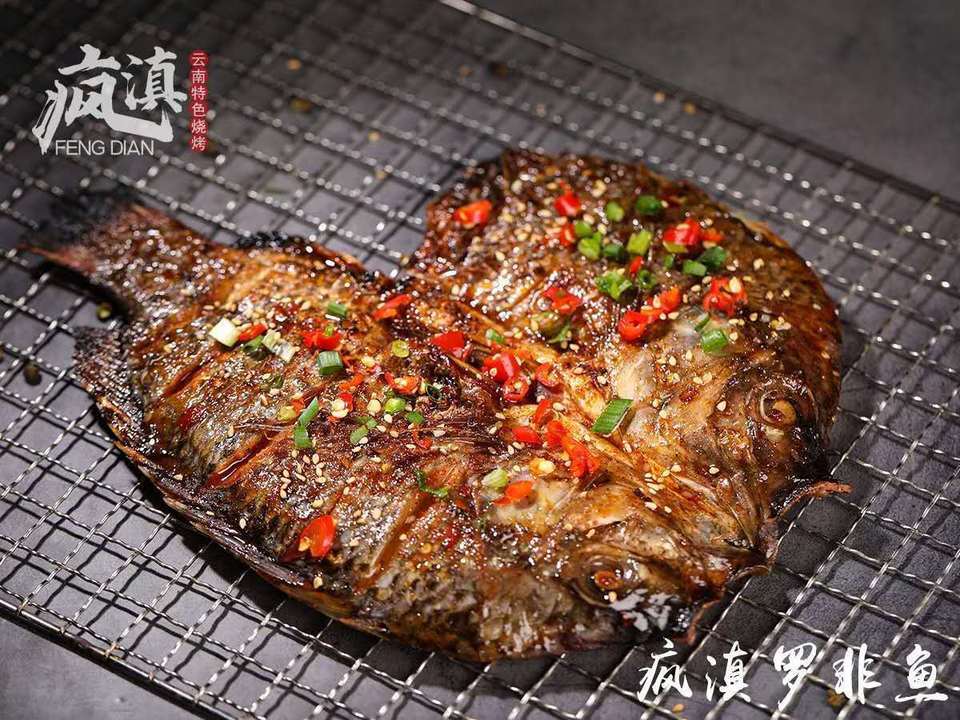 疯滇罗非鱼图片