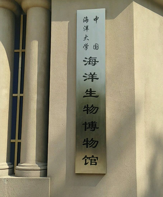 中国海洋大学海洋生物博物馆图片
