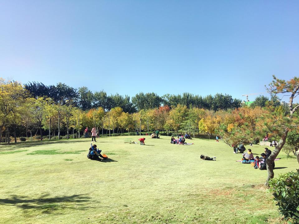 濟南森林公園圖片