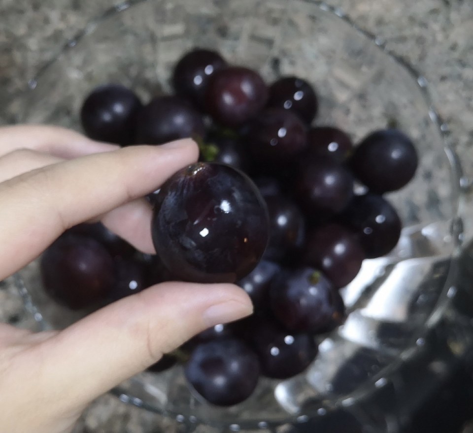 无籽珍珠提图片