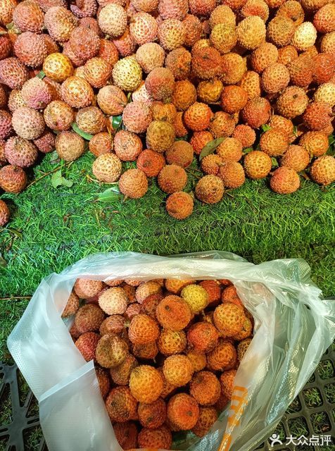 熟果地地址(位置,怎么去,怎么走,在哪,在哪里,在