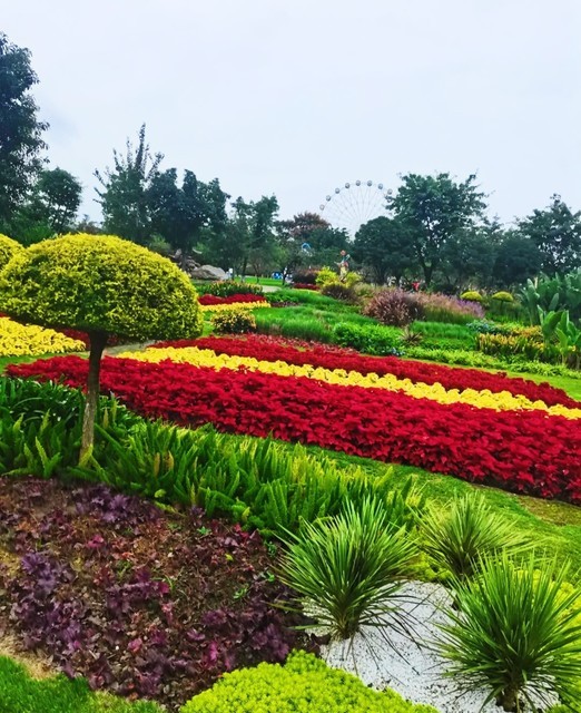百花谷