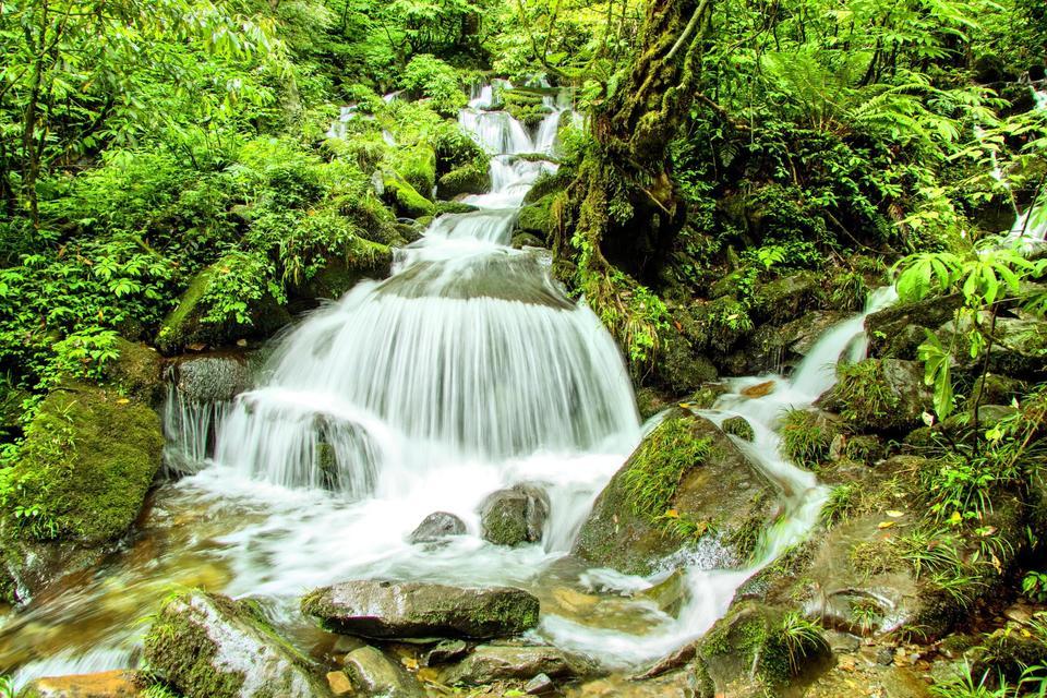 【瓦屋山風景區】瓦屋山風景區門票,瓦屋山風景區遊玩攻略_360地圖