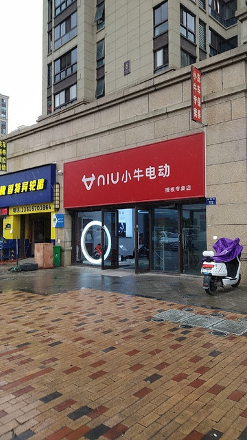 小牛电动图片