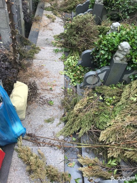 怎么去,怎么走,在哪,在哪里,在哪儿):苏州市虎丘区横塘街道上方山公墓