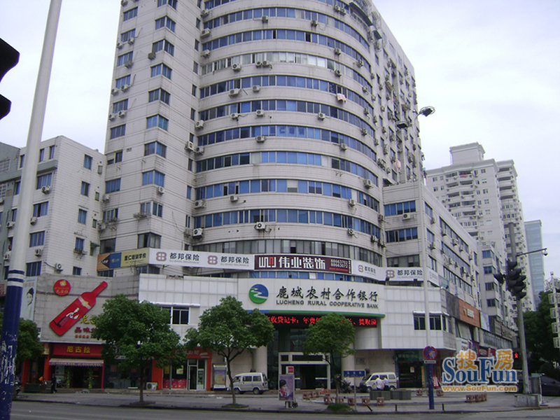 金泰大厦(温迪路)图片