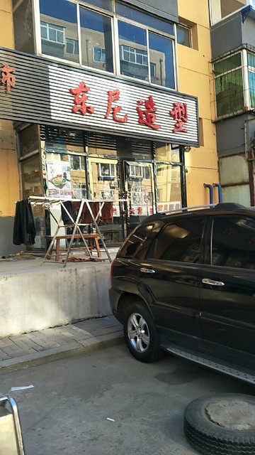 东尼造型图片