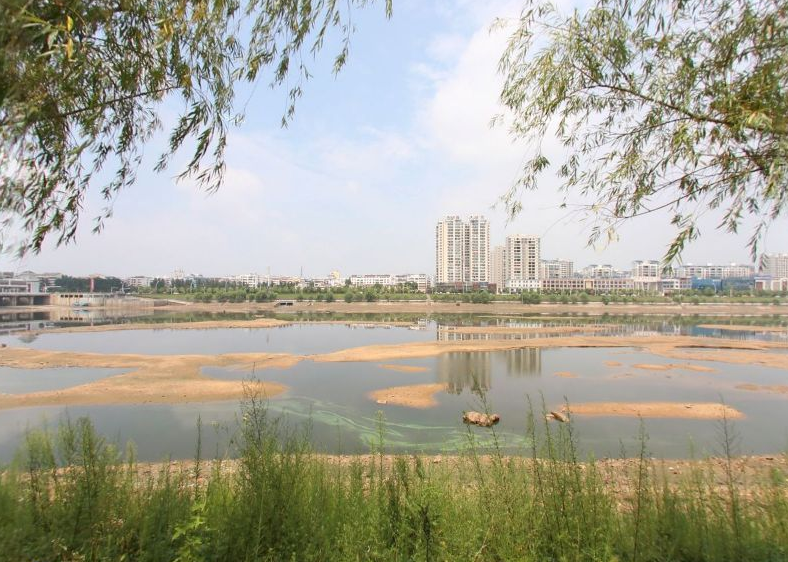 地址(位置,怎麼去,怎麼走,在哪,在哪裡,在哪兒):隨州市曾都區擂鼓墩巷