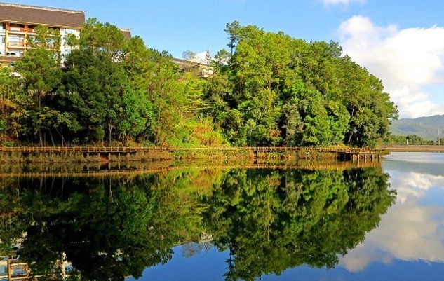 梅子湖公園圖片