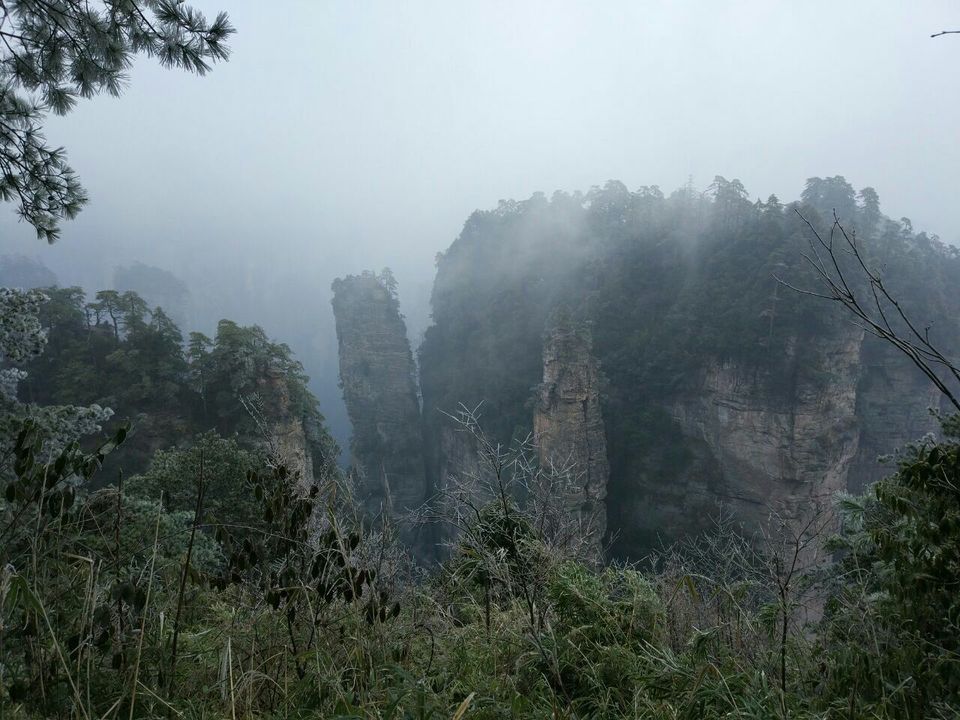 黑枞垴图片