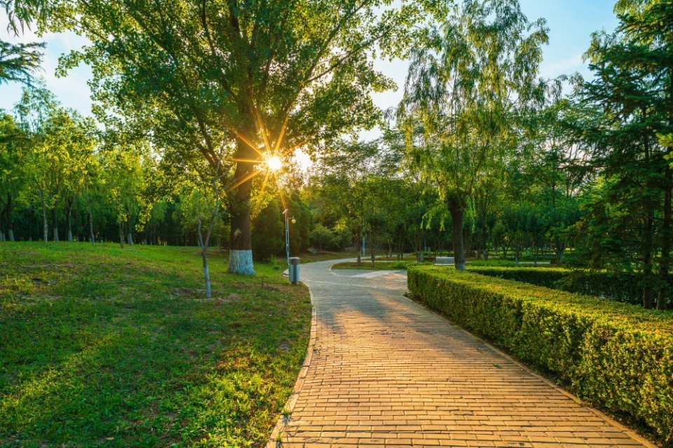 金田公园-北区图片