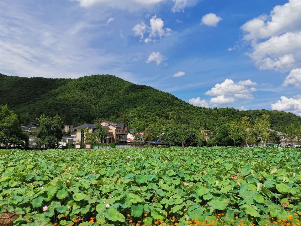 浙江安吉余村景点