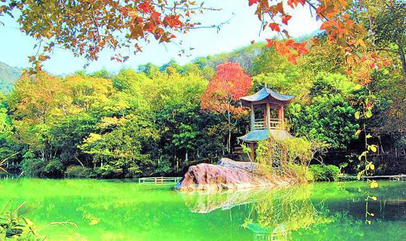 大桂山野趣溝旅遊風景區圖片