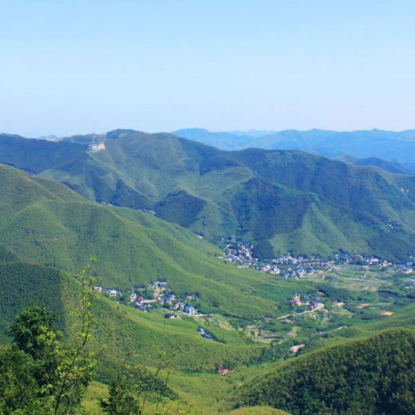 莫干山大坑景区图片图片