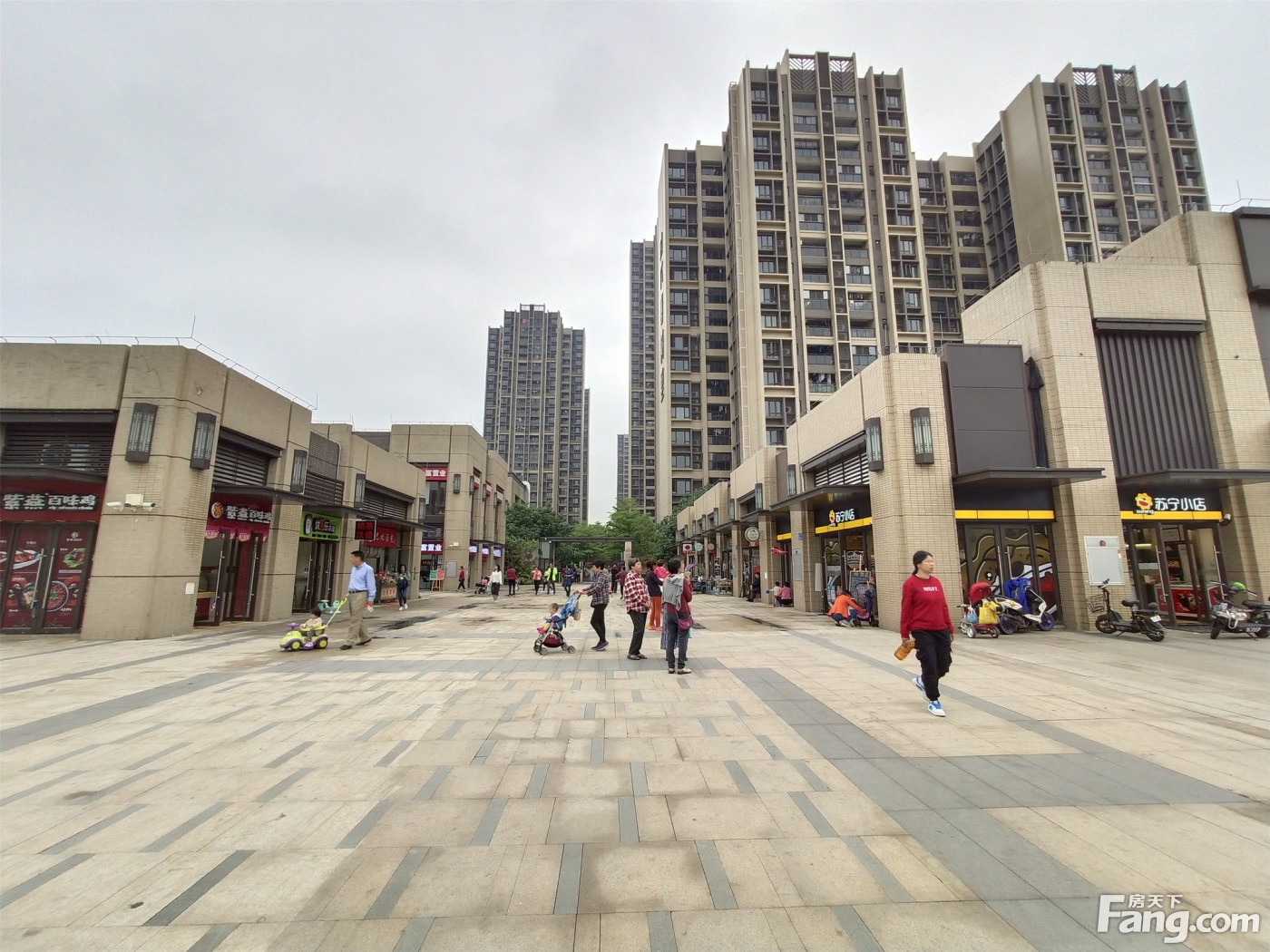 时代春树里