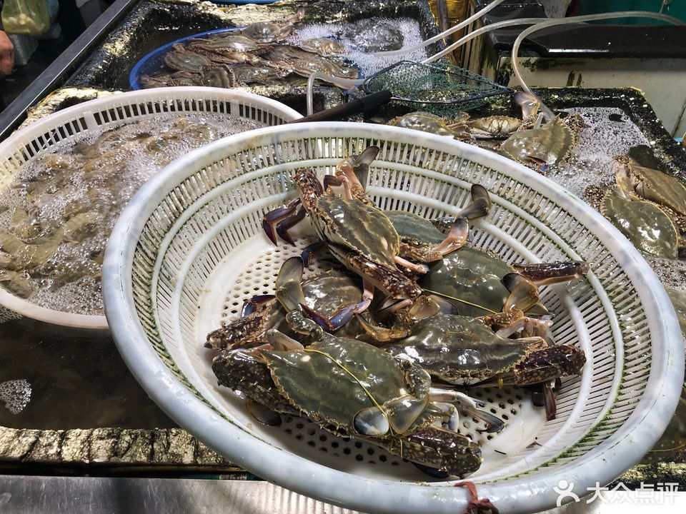 杭州哪里海鲜批发