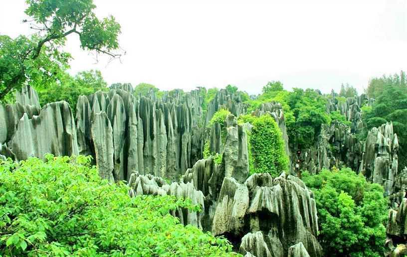 青观顶石林图片