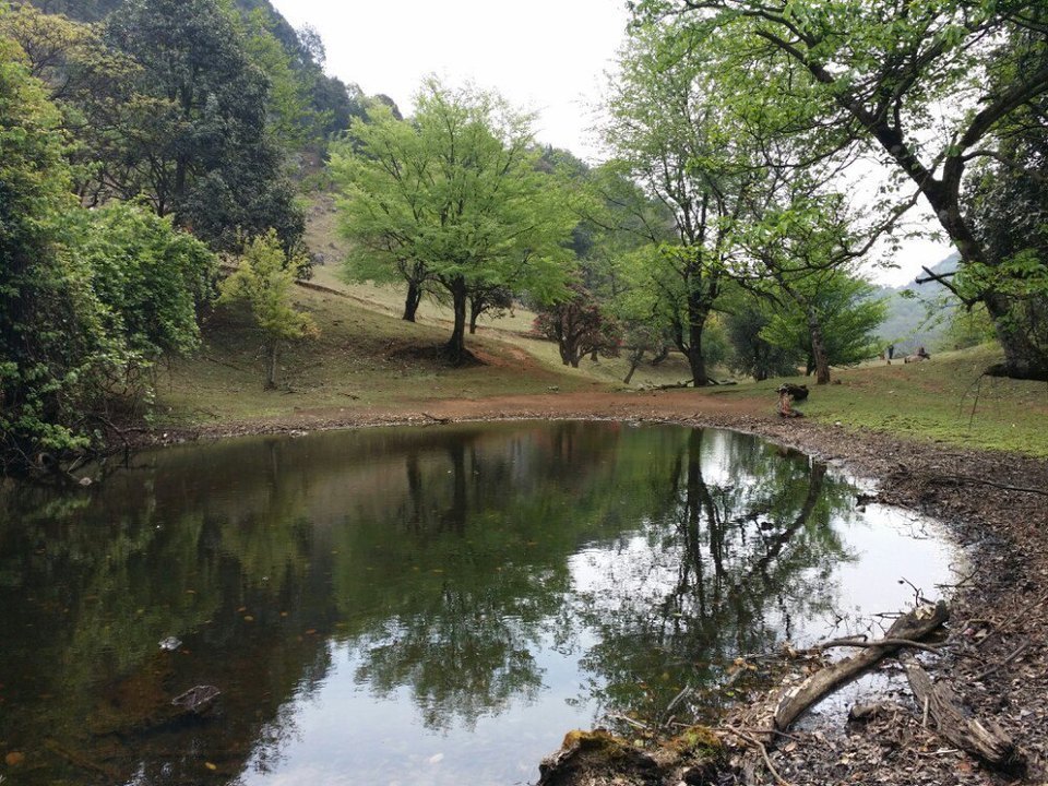 地址(在哪裡):菌子山景區位於曲靖市師宗縣五龍壯族鄉英武山風景區