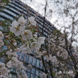 闵行国际物流中心有限公司