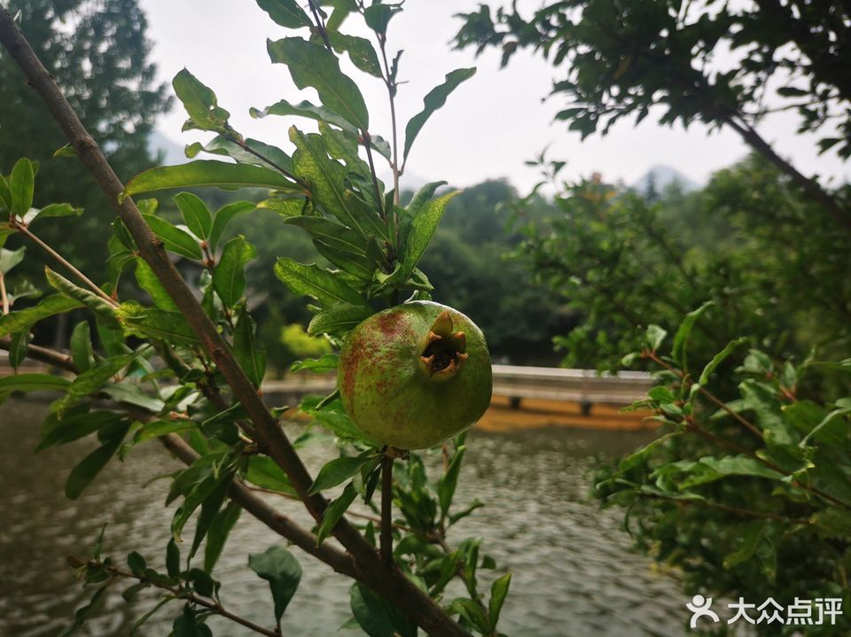 万丰公园垂钓园