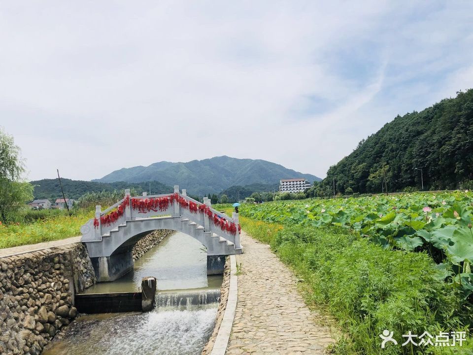 怎麼去,怎麼走,在哪,在哪裡,在哪兒):紹興市諸暨市五洩鎮十四都村藏綠