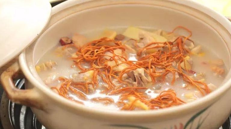 虫草花猪肚鸡图片