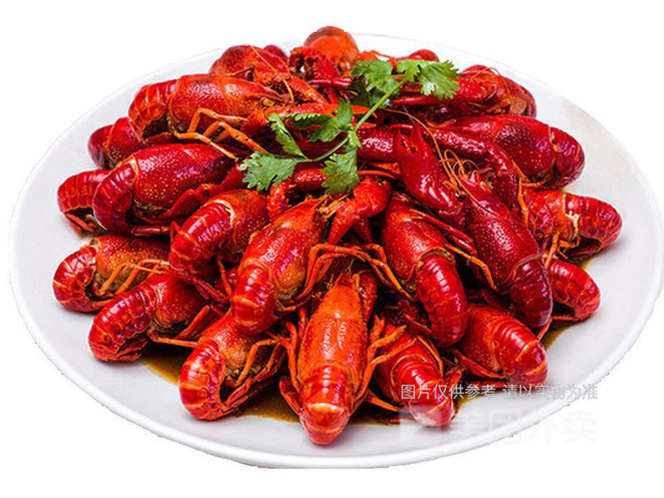 卤虾图片
