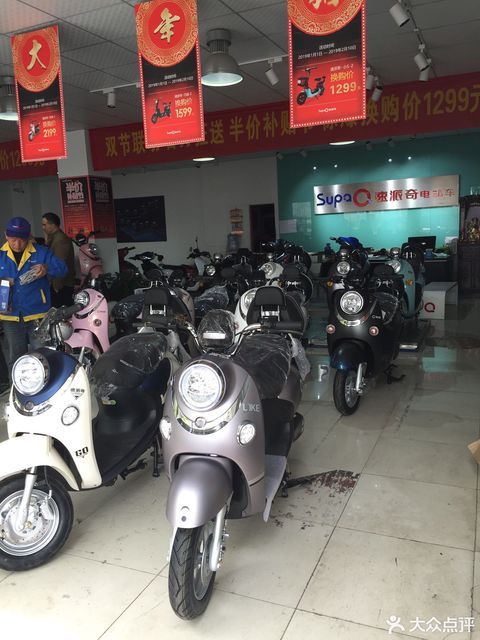 速派奇电动车自行车图片