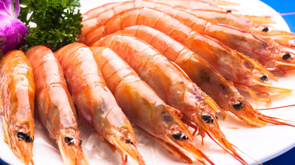 阿根廷红虾图片