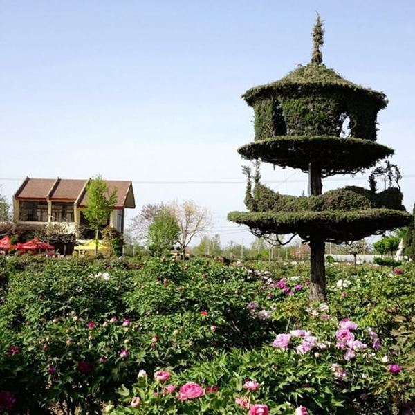 曹州百花园图片