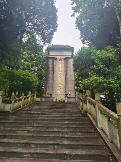 怎么去,怎么走,在哪,在哪里,在哪儿):吉安市井冈山市茨坪街道中心大道