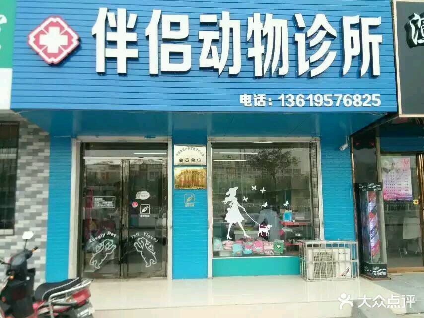 伴侣动物诊所(永泰城店)图片