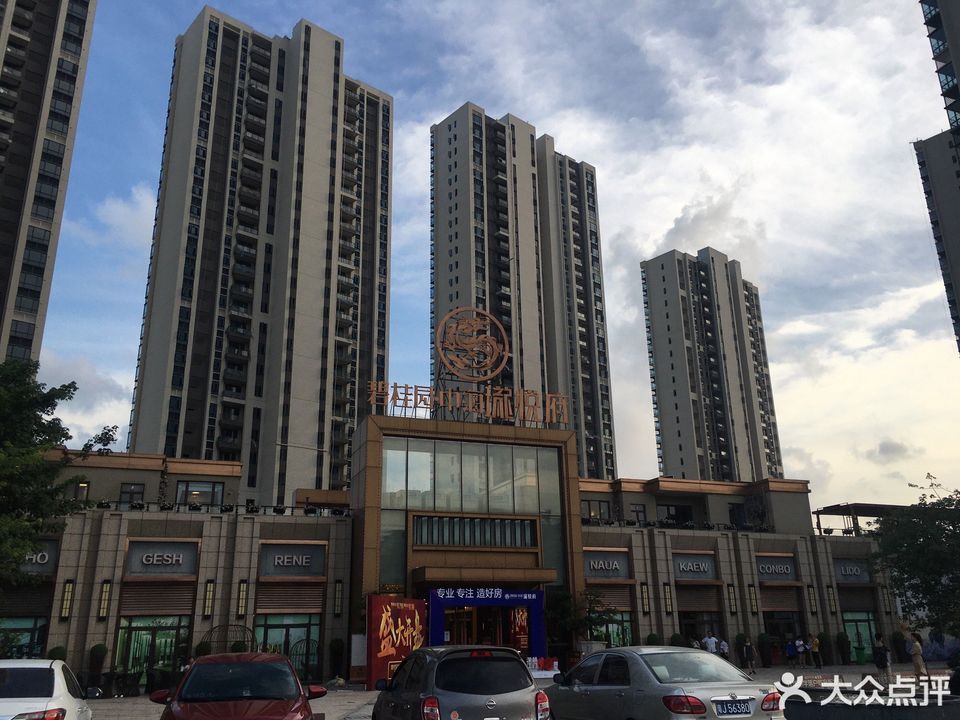 碧桂园中海珑悦府图片