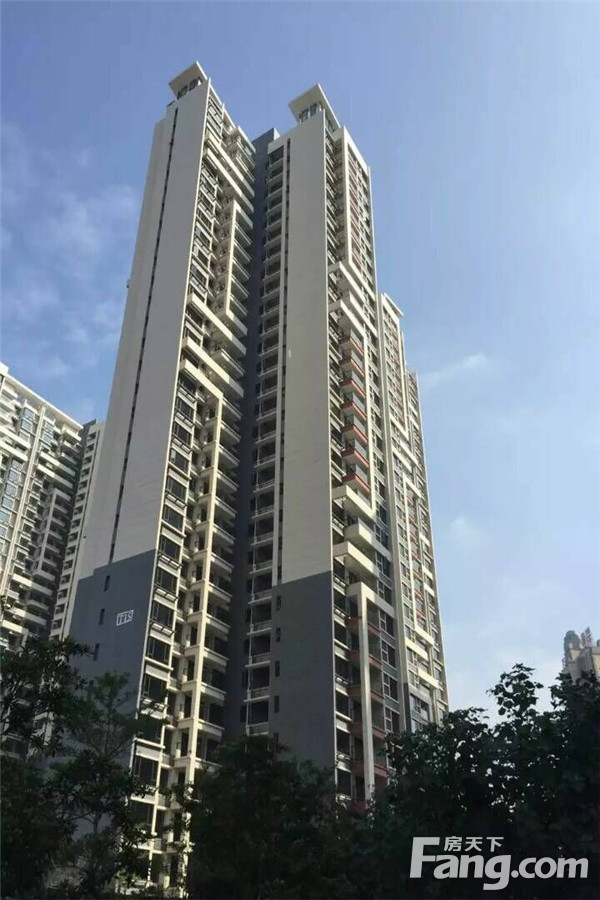 方直星耀国际