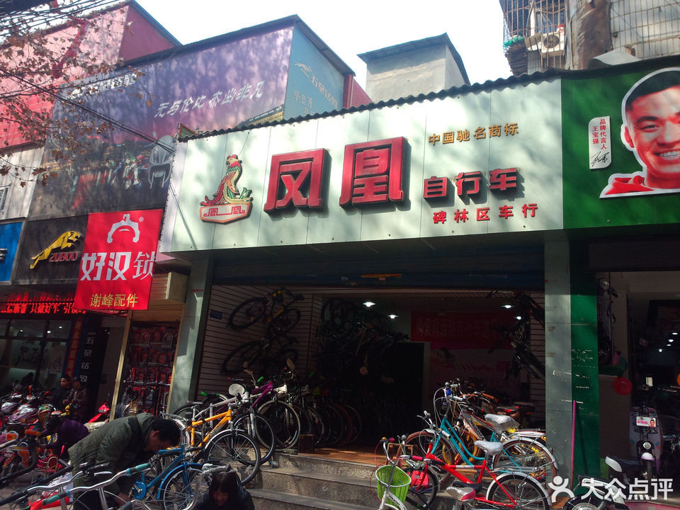 凤凰自行车(伞塔路店)图片
